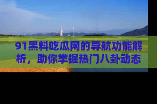 91黑料吃瓜网的导航功能解析,助你掌握热门八卦动态