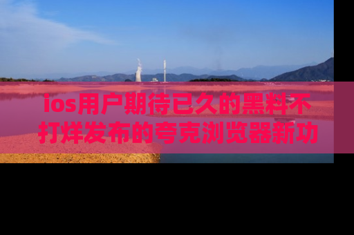 ios用户期待已久的黑料不打烊发布的夸克浏览器新功能上线啦！