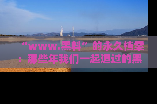 “www.黑料”的永久档案:那些年我们一起追过的黑料真相