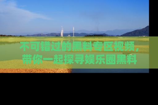 不可错过的黑料专区视频，带你一起探寻娱乐圈黑料