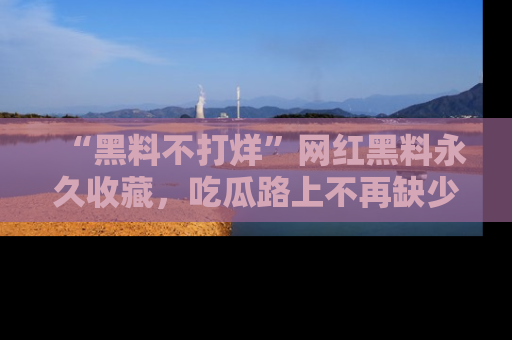“黑料不打烊”网红黑料永久收藏，吃瓜路上不再缺少惊喜与乐趣