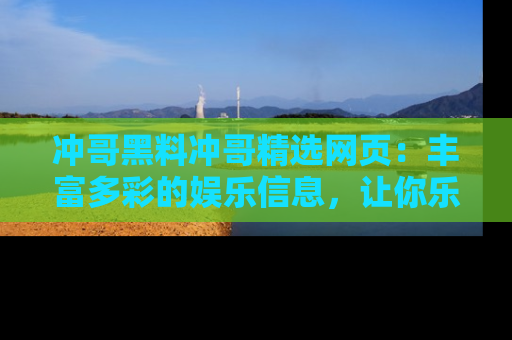 冲哥黑料冲哥精选网页：丰富多彩的娱乐信息，让你乐不停息