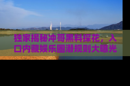 独家揭秘冲哥黑料探花，入口内藏娱乐圈潜规则大曝光
