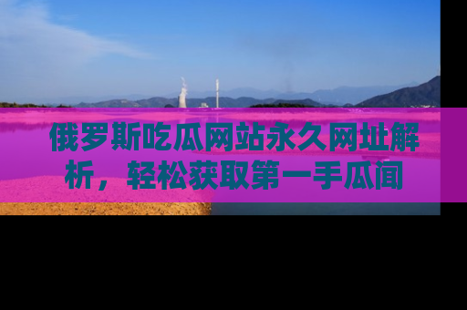俄罗斯吃瓜网站永久网址解析，轻松获取第一手瓜闻