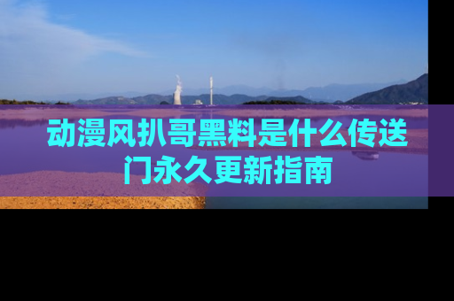 动漫风扒哥黑料是什么传送门永久更新指南
