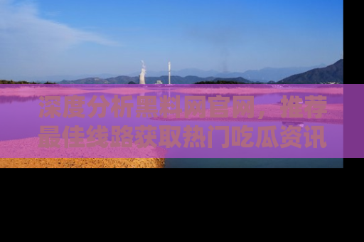 深度分析黑料网官网，推荐最佳线路获取热门吃瓜资讯