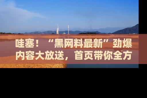哇塞!“黑网料最新”劲爆内容大放送,首页带你全方位了解哦,小可爱们