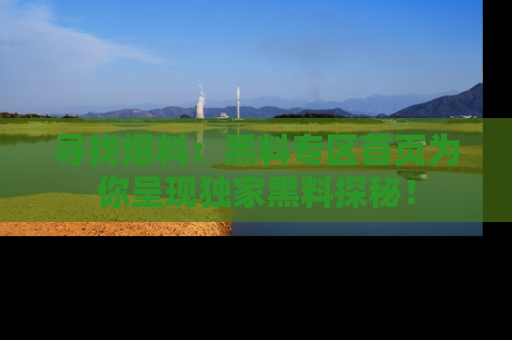 寻找爆料:黑料专区首页为你呈现独家黑料探秘!
