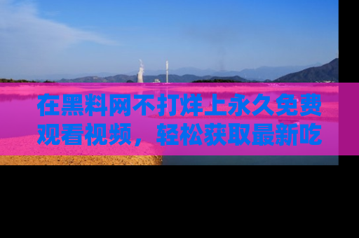 在黑料网不打烊上永久免费观看视频,轻松获取最新吃瓜资讯!