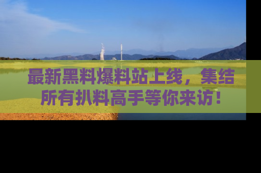 最新黑料爆料站上线，集结所有扒料高手等你来访！